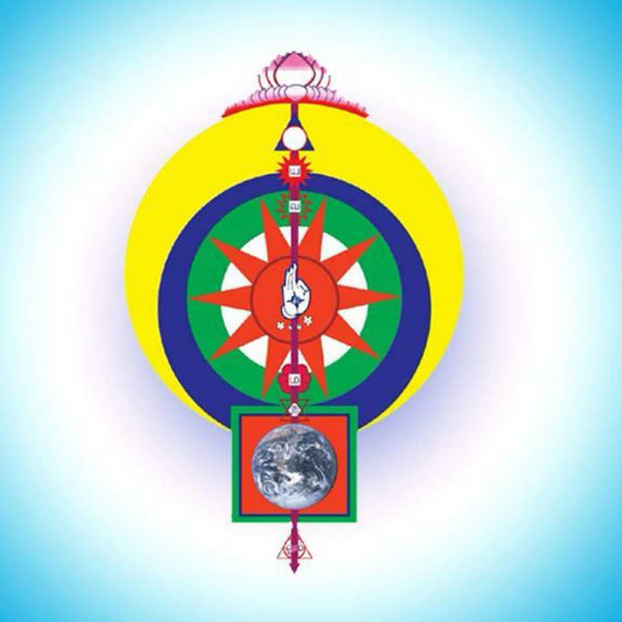 Beautiful garden design