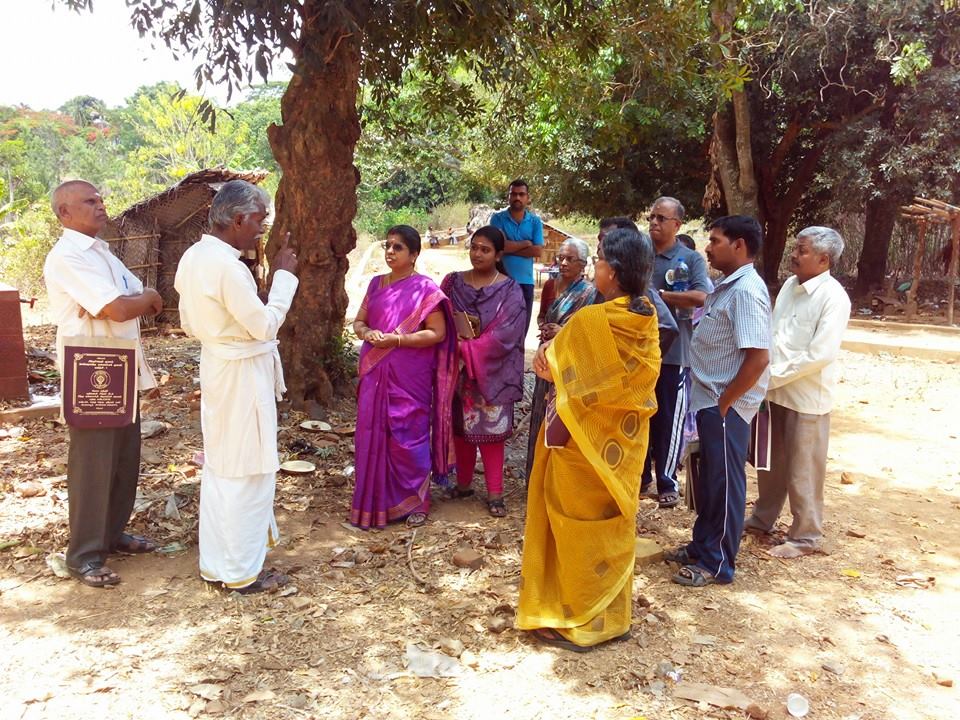 Beautiful garden design